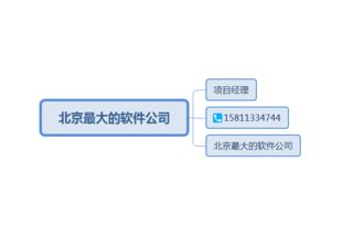 2019軟件開發公司排名